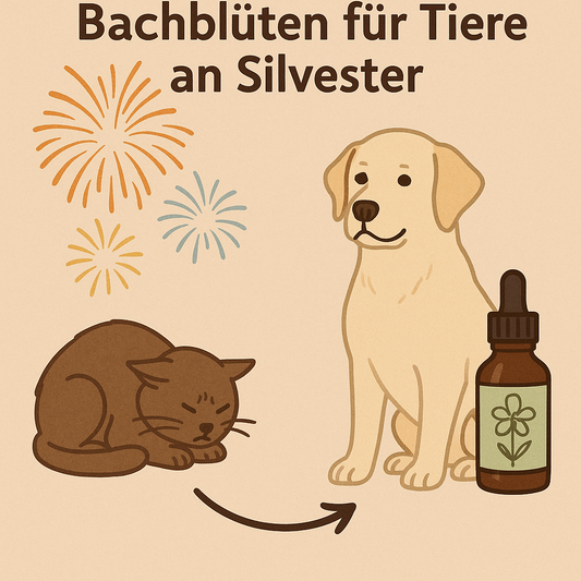 Sanfte Hilfe bei Silvesterangst: So unterstützen Bachblüten dein Tier