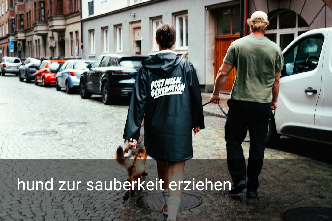 hund zur sauberkeit erziehen