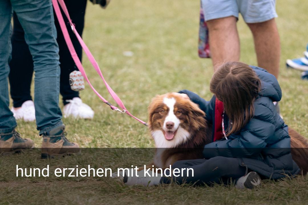 hund erziehen mit kindern